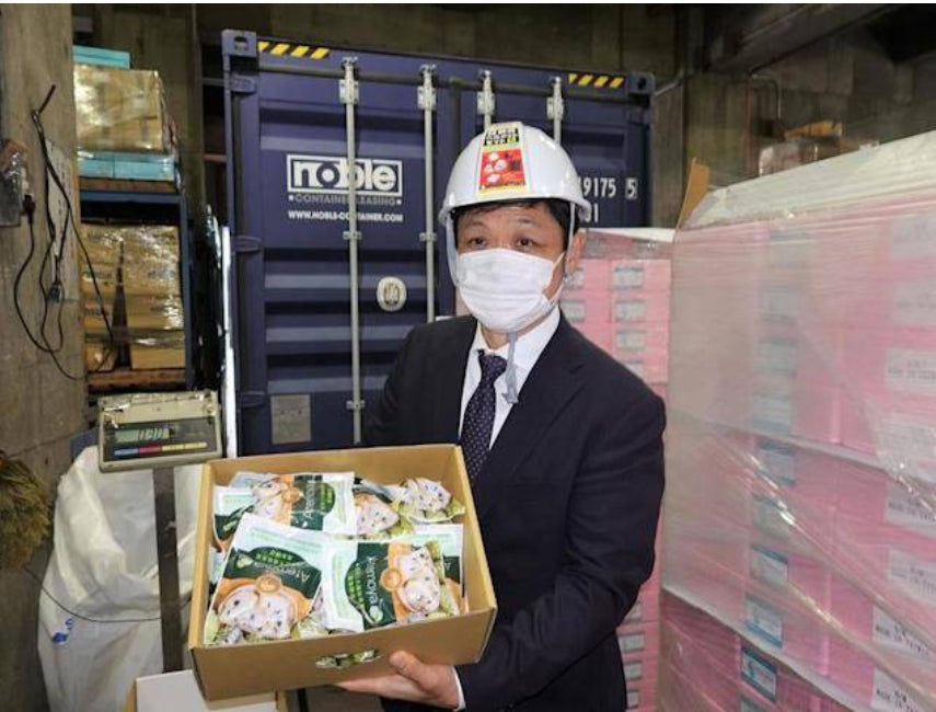 New Export Venture for Cut Atemoya! Small-Packaged "Fresh-Cut Ready-to-Eat" Pineapple Cherimoya Successfully Enters the Japanese Market