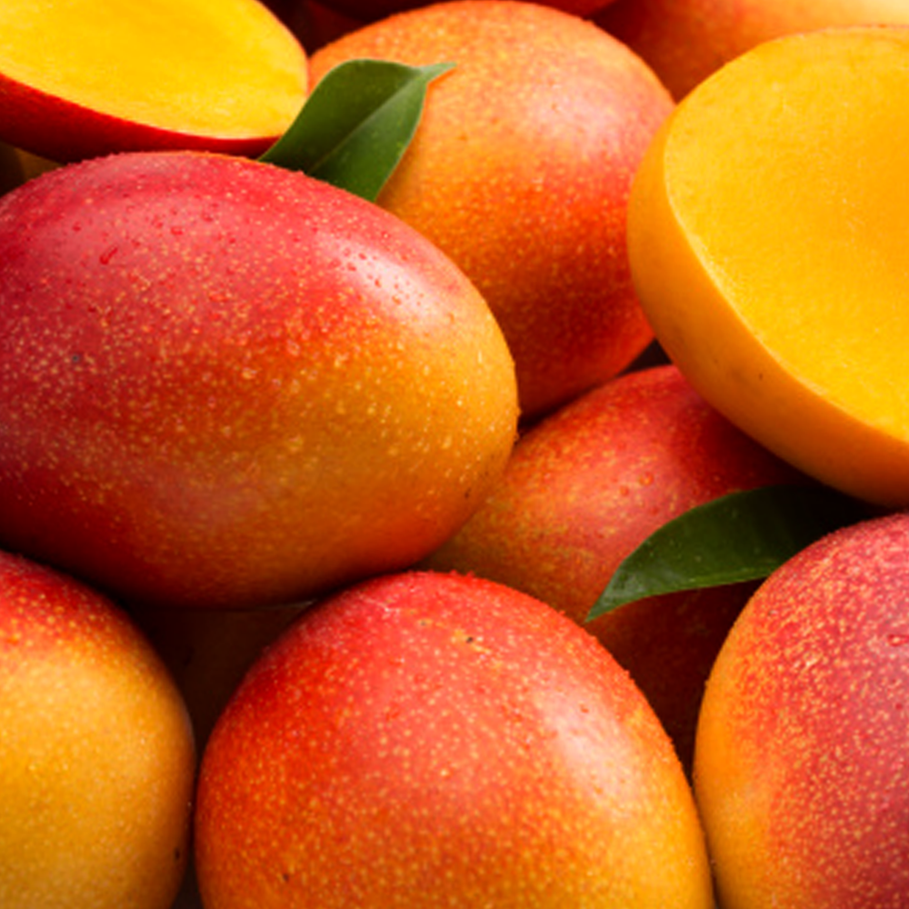 Irwin Mango愛文芒果