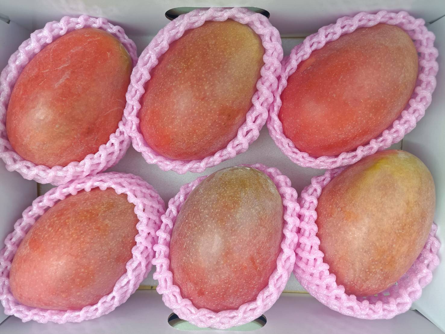 Irwin Mango愛文芒果