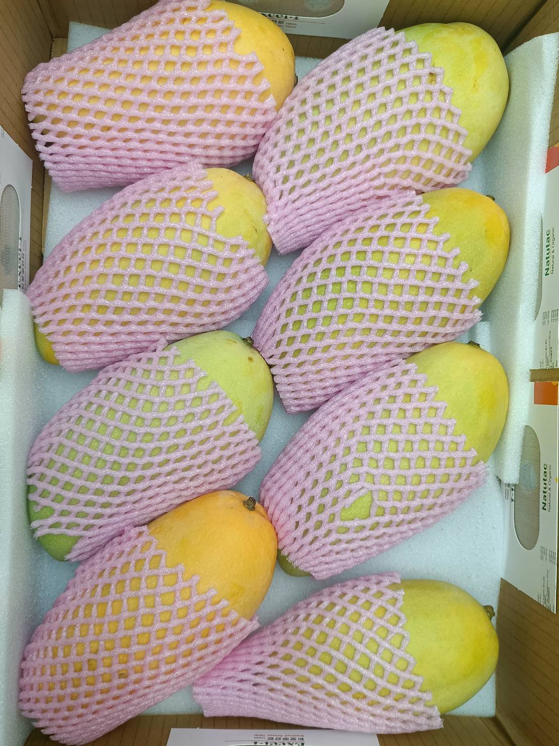 Jinhuang Mango金煌芒果