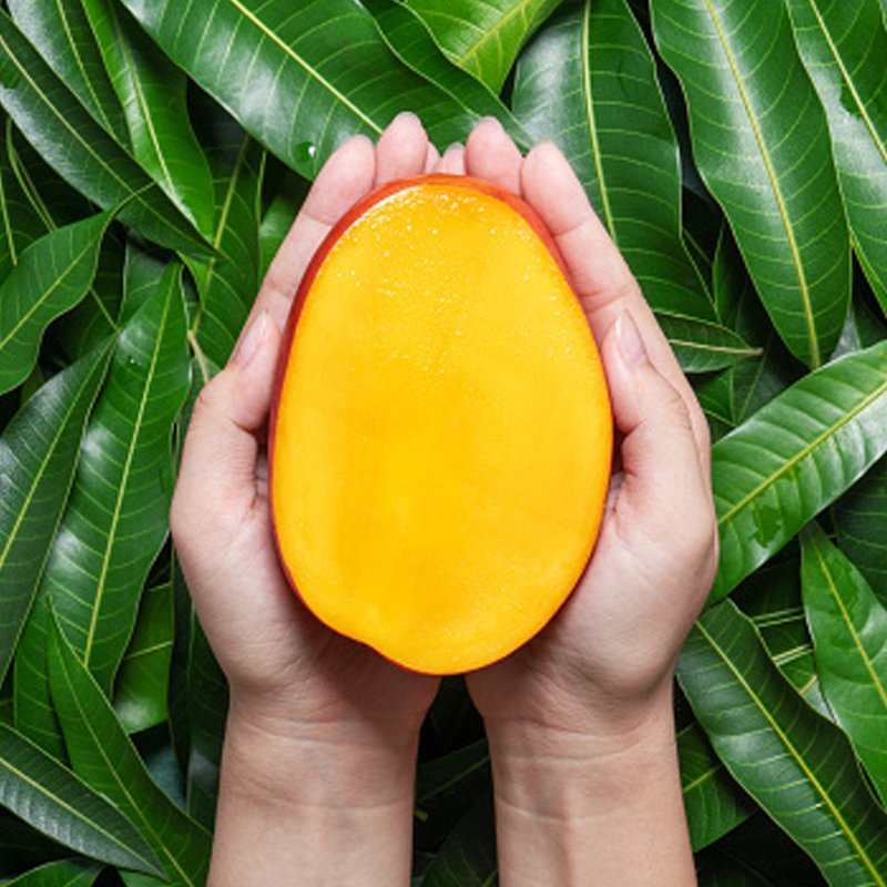 Irwin Mango愛文芒果