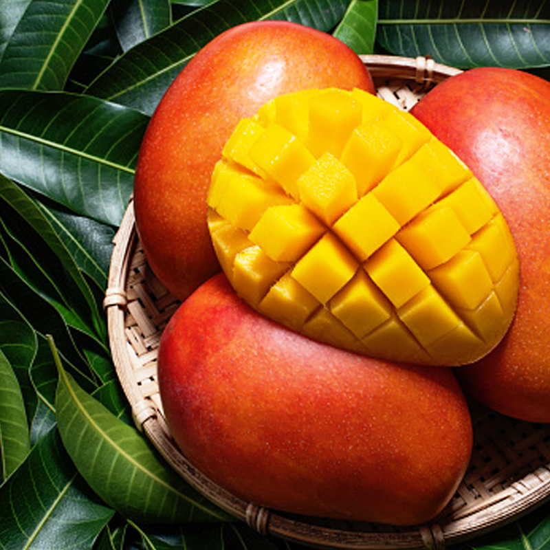 Irwin Mango愛文芒果